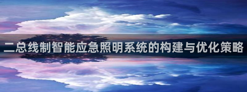 二总线制智能应急照明系统的构建与优化策略