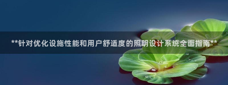 **针对优化设施性能和用户舒适度的照明设计系统全面指南**