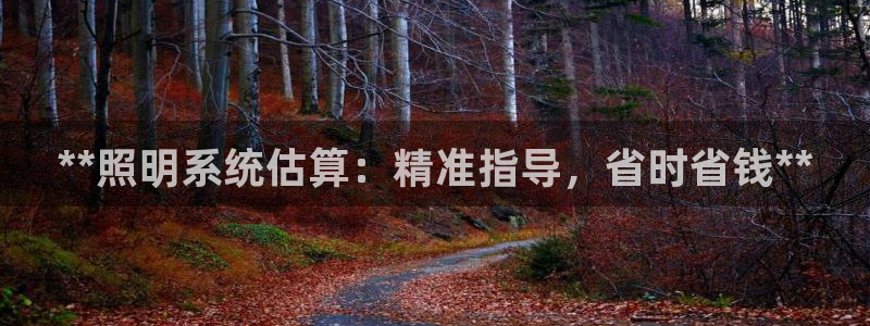 **照明系统估算：精准指导，省时省钱**