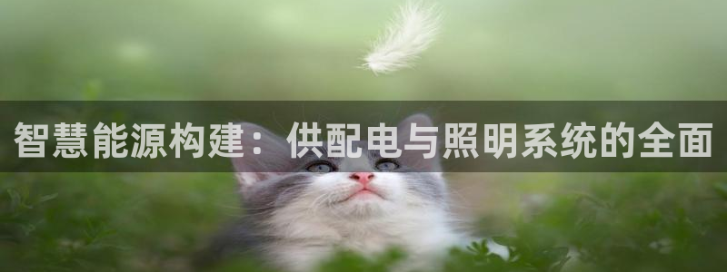 智慧能源构建：供配电与照明系统的全面