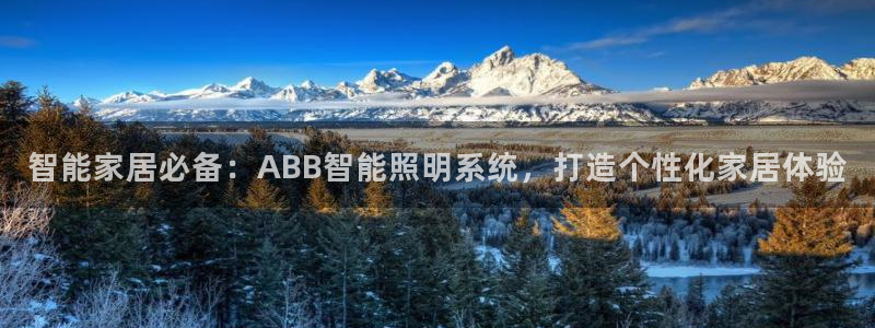 智能家居必备：ABB智能照明系统，打造个性化家居体验