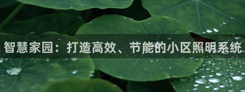 智慧家园：打造高效、节能的小区照明系统