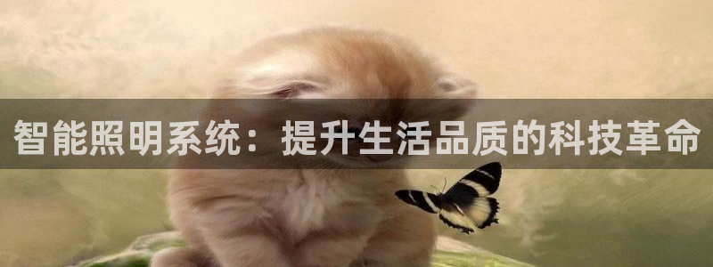 智能照明系统：提升生活品质的科技革命