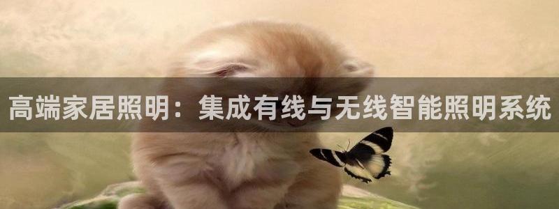 高端家居照明：集成有线与无线智能照明系统