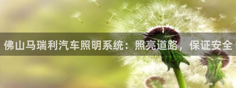 佛山马瑞利汽车照明系统：照亮道路，保证安