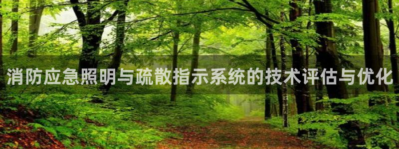 消防应急照明与疏散指示系统的技术评估与优